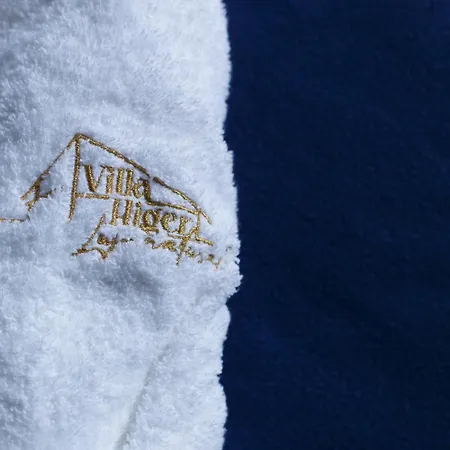 Higer Villa Hondarribia