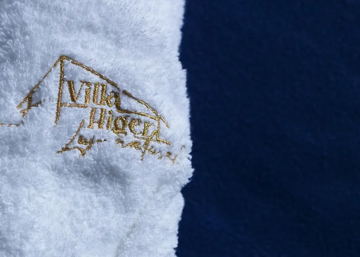 Higer ヴィラ オンダリビア